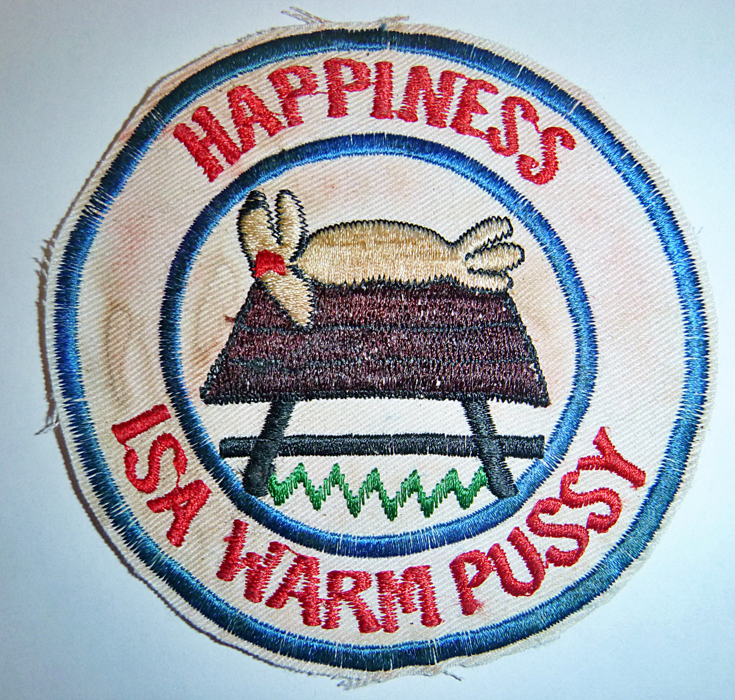 Mature Audience - Vintage RnR - Vietnam War Patch - Snoopy Says - 1960's - 1970's - Miltaria - Adult